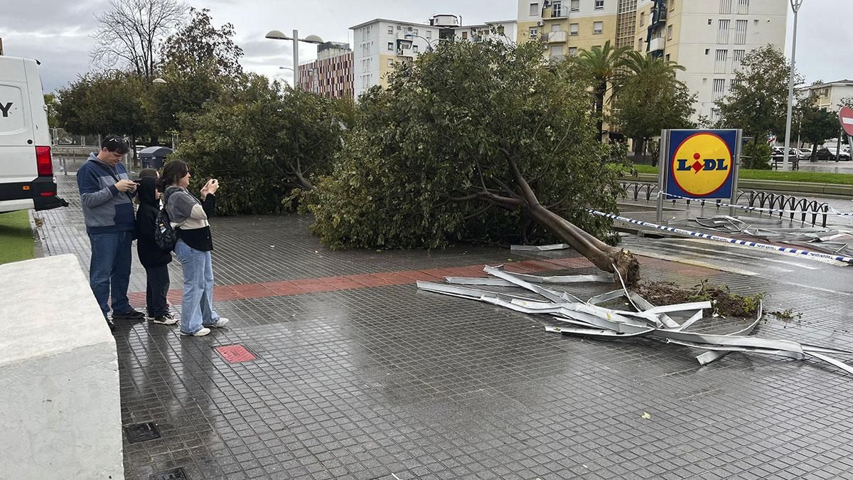 El techo del parking de Lidl en el suelo tras el paso del temporal