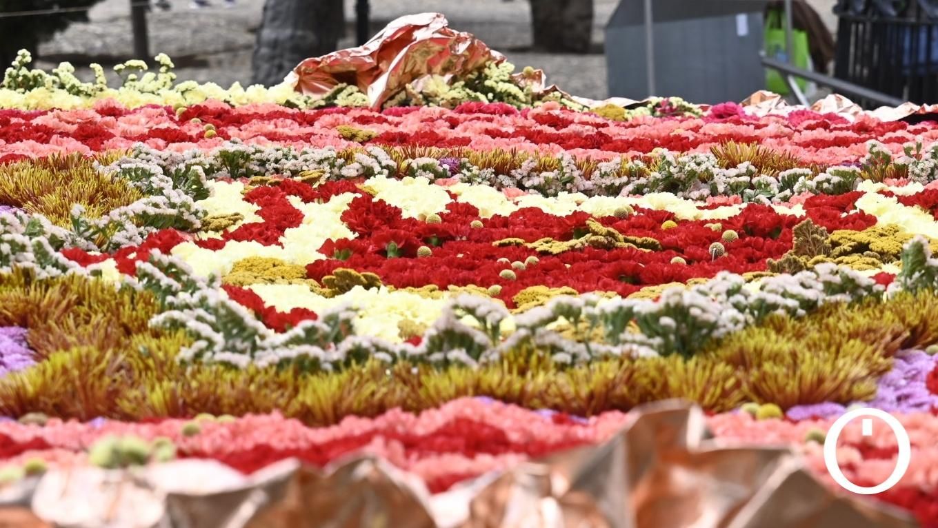 Flora 2023 - Harriet Parry