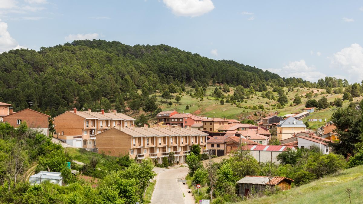 Ni en los Alpes suizos ni en Noruega: el mayor pinar de pino silvestre de Europa está en Castilla y León