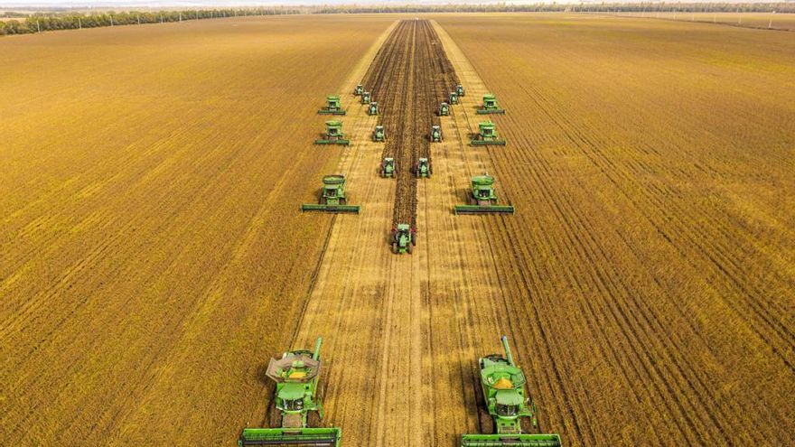 China reduce importaciones de soja y plantea interrogantes para América del Sur