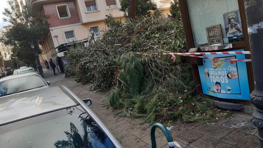 El estado de la Plaza de Peñascales esta semana. Tras los árboles hay un parque infantil cerrado desde hace un mes. / C.M