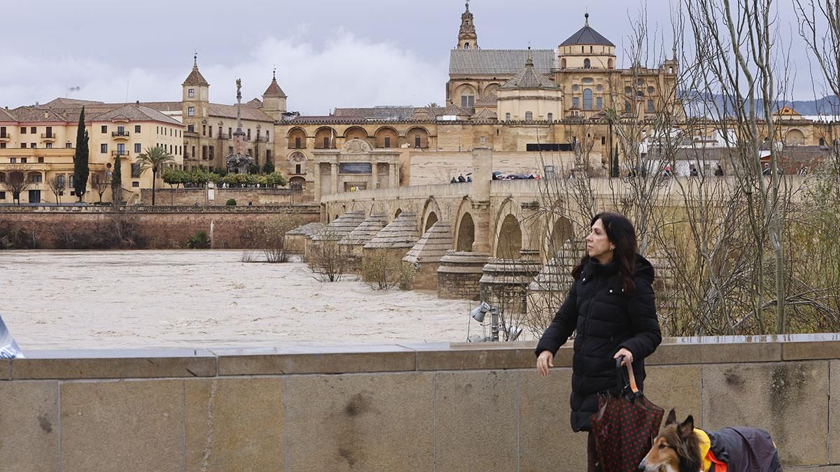 El río Guadalquivir ha superado el umbral naranja a su paso por Córdoba