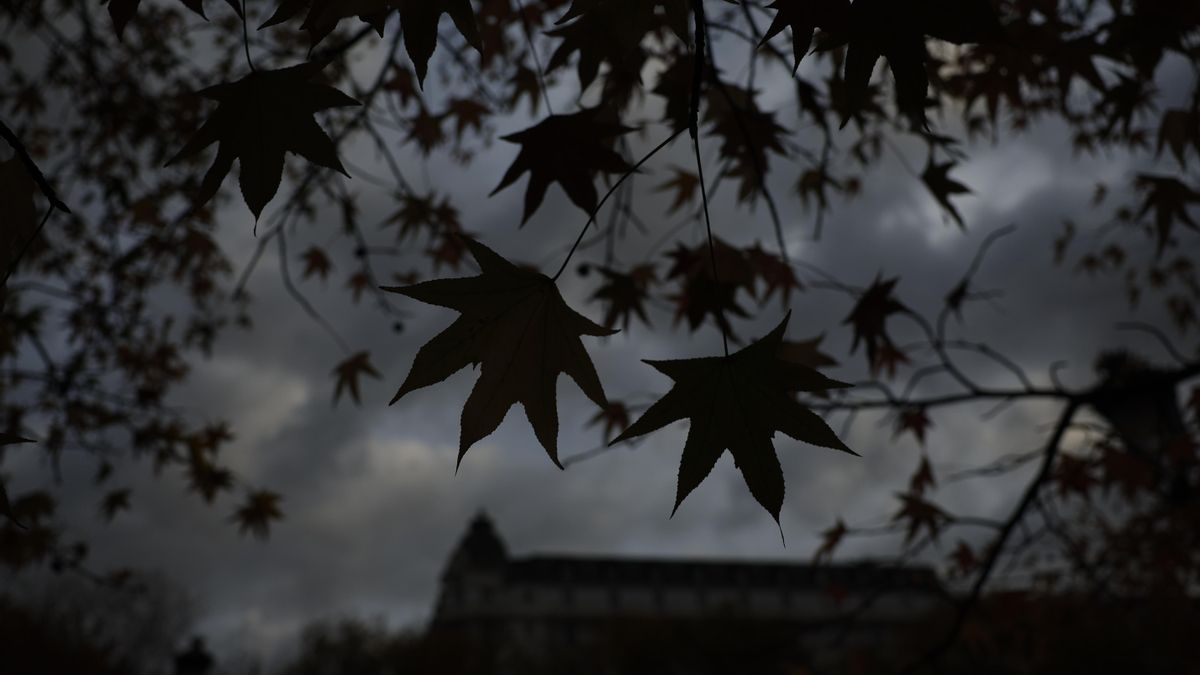 Las hojas secas de un plátano de sombra se recortan sobre las nubes en día otoñal en Madrid.