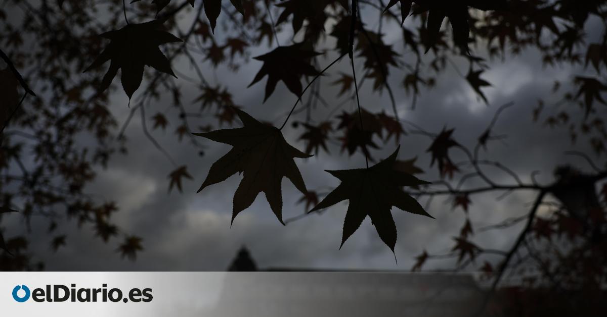 Sin lluvias en Madrid: cielo nuboso y viento moderado para el martes