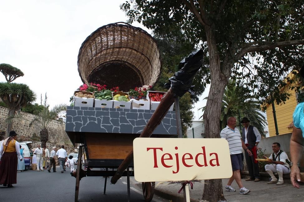 Romería de Teror (ALEJANDRO RAMOS)