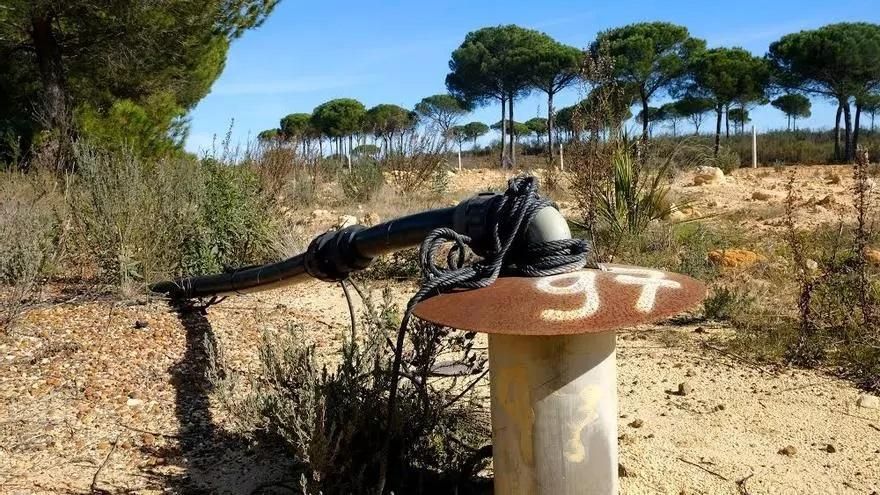 Condena de cárcel para los dueños de una finca en Doñana por extracciones ilegales de agua durante años