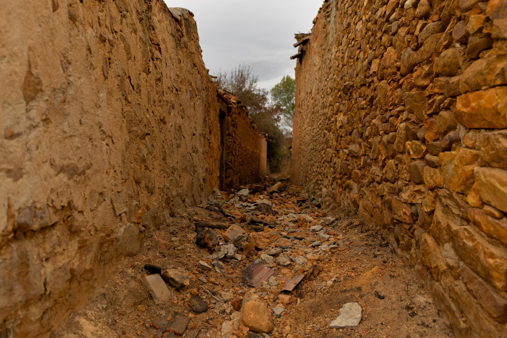 La devastación de los incendios del sur de León que impulsa la campaña internacional de Greenpeace