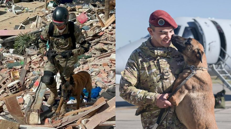 Bart, el perro argentino que ayudó a rescatar a dos menores de entre los escombros en Venezuela