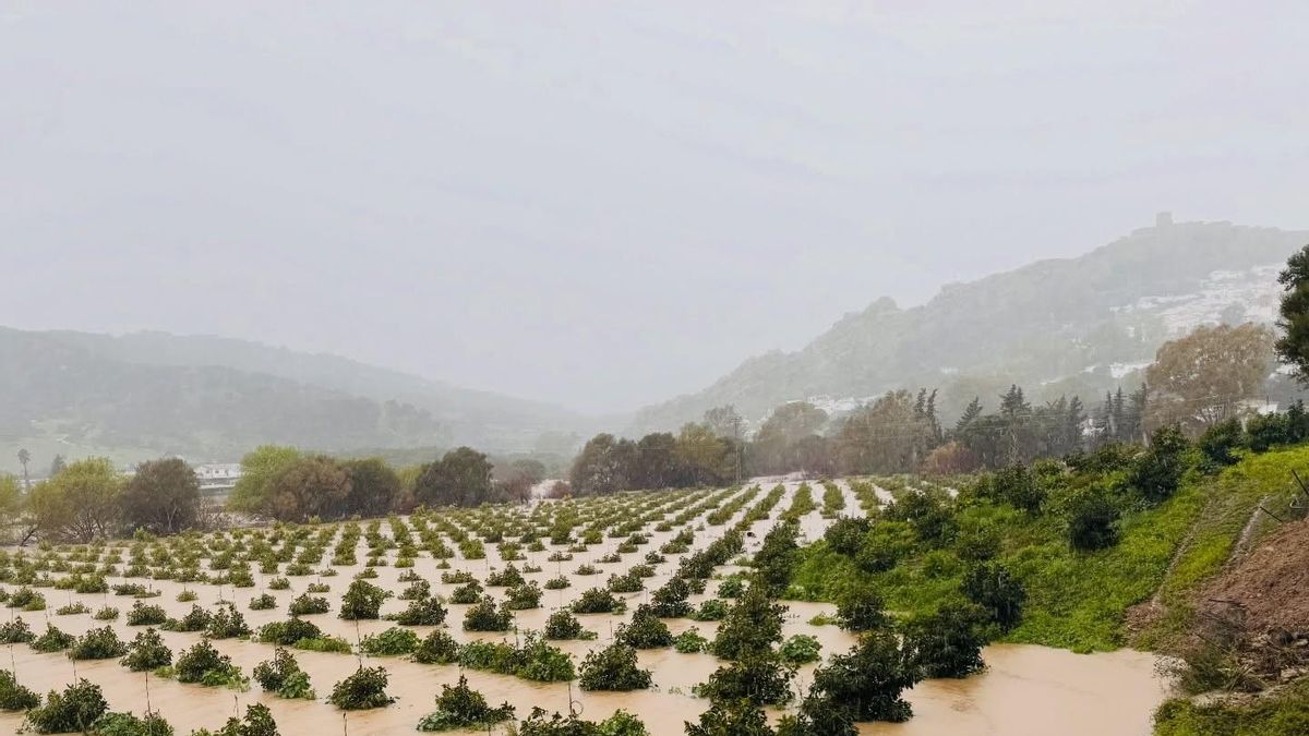 Desalojan a una decena de vecinos del municipio gaditano de Jimena por el desbordamiento del río Hozgarganta