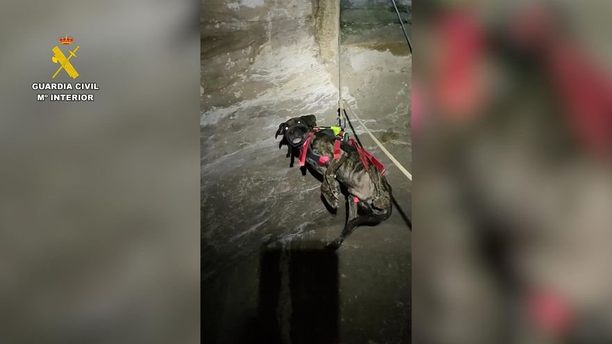 Investigan un caso de maltrato animal en Calanda (Teruel) tras rescatar a un perro atrapado durante siete días en un aljibe