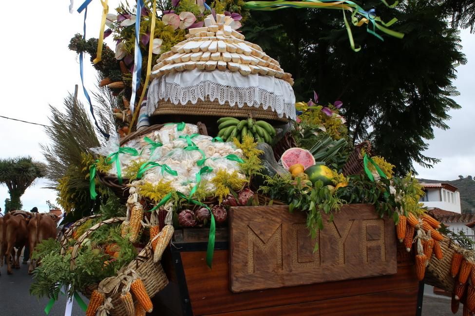 Romería de Teror (ALEJANDRO RAMOS)