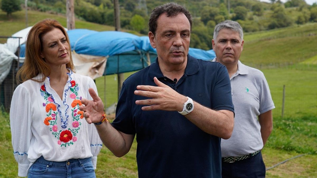 El cabeza de lista del PP de Cantabria al Congreso, Félix de las Cuevas