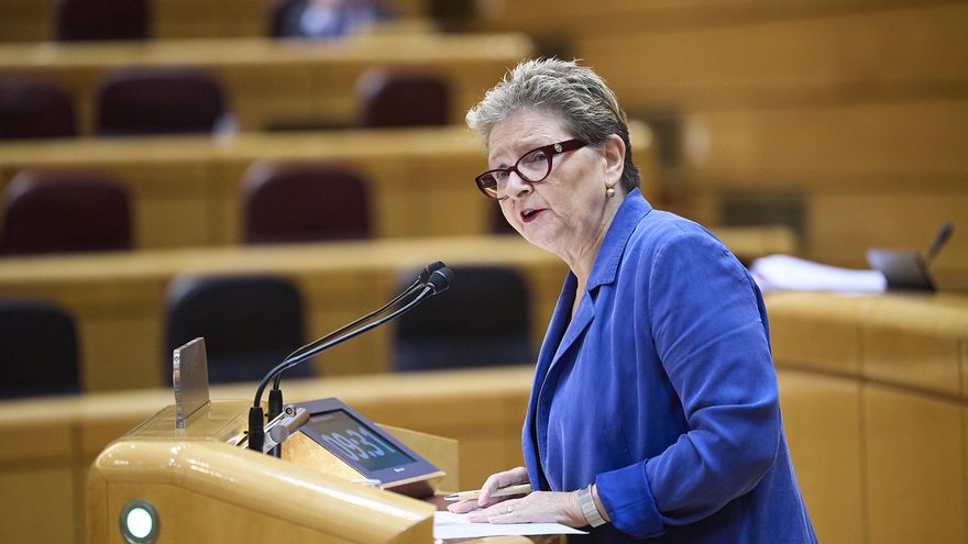 La senadora de Junts María Teresa Pallarès interviene durante un pleno en el Senado.