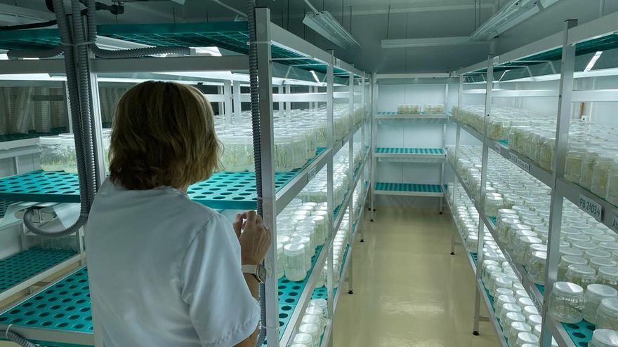 Laboratorio de la Cooperativa del Campo Santa Monica de Balazote