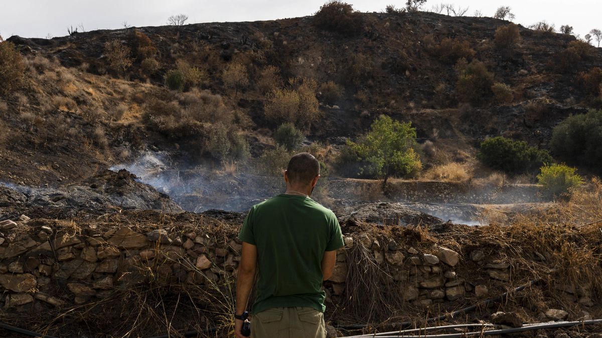Archivo - Zonas afectadas por el incendio forestal de Los Gallardos (Almería). A 15 de julio de 2026 en Bédar, Almería (Andalucía, España).