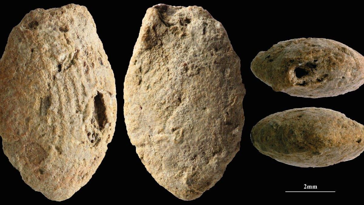 Las huellas dactilares que revelan la importancia de la arcilla hace 15.000 años