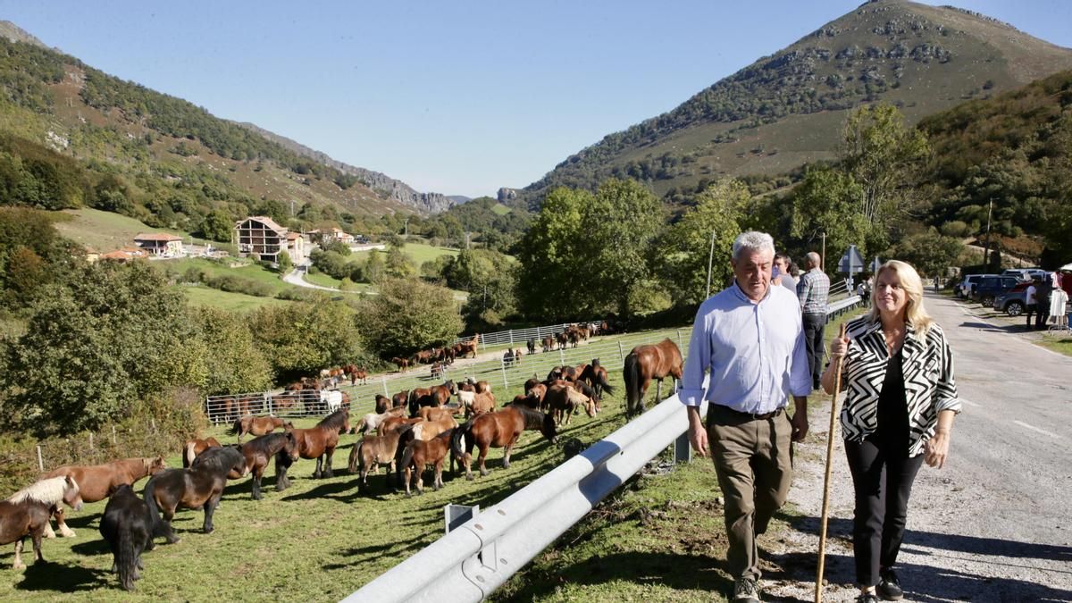 La Feria equina de Polaciones reúne a 300 animales de 15 ganaderías de la zona