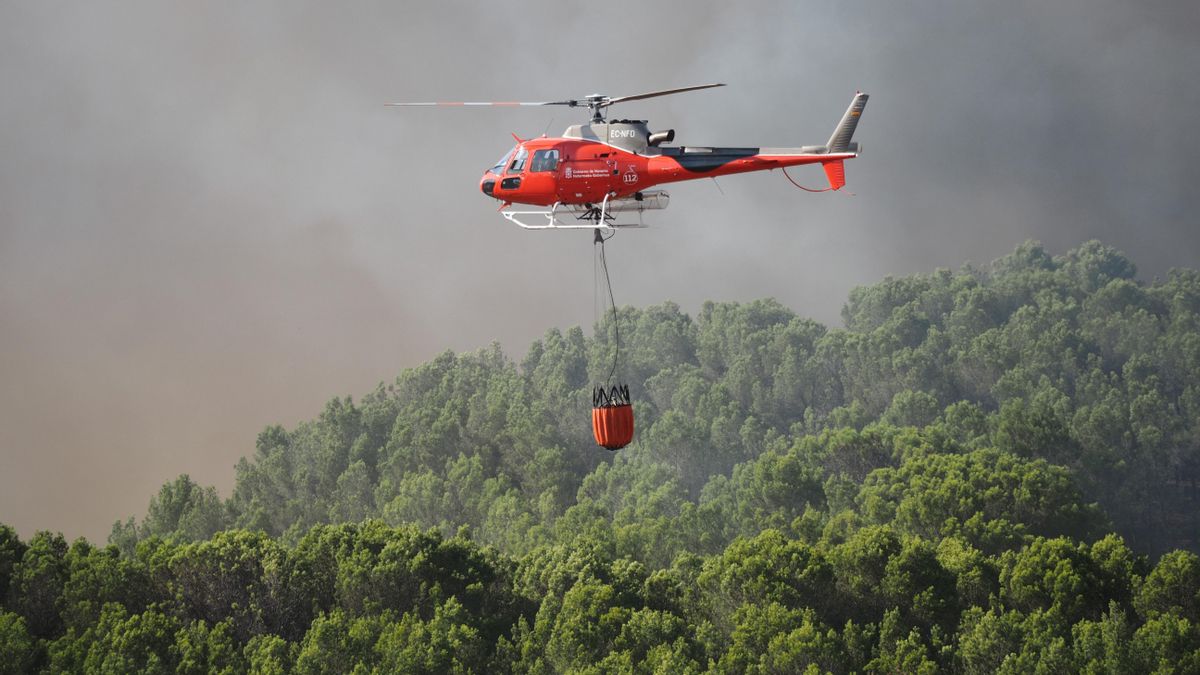 Navarra refuerza el servicio de bomberos para la campaña forestal de invierno y primavera