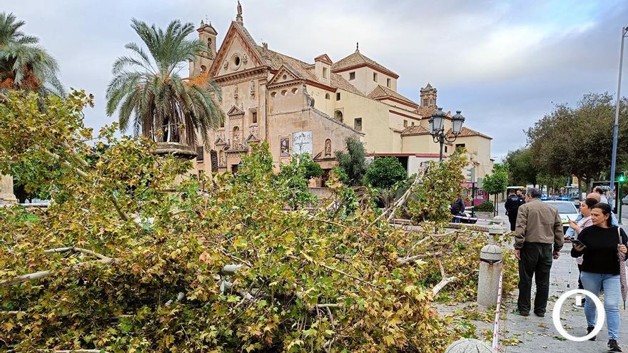 Bernard, la borrasca atlántica que jugó a ser tormenta subtropical desatando el caos en el suroeste peninsular