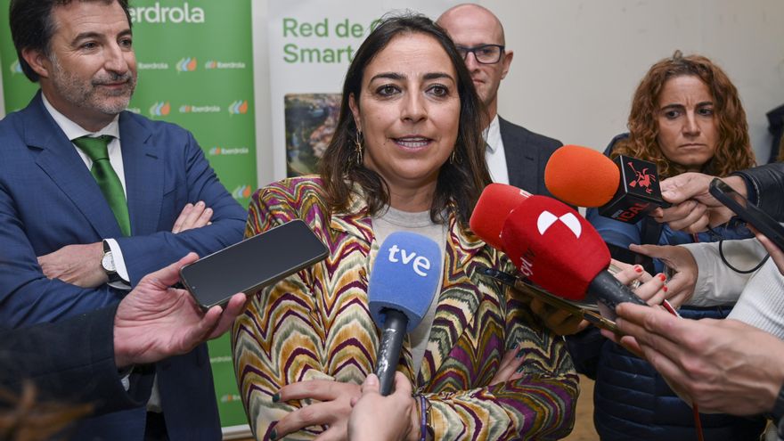 Los socialistas en Castilla y León se dividen por el apoyo al calendario de primarias y el veto de Ferraz