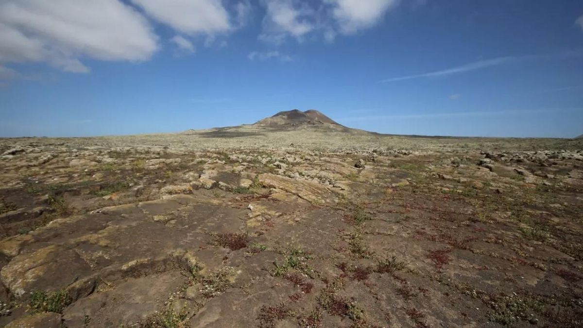 La desertificación avanza en Canarias: en Las Palmas el 97%  es considerado zona árida y en Santa Cruz de Tenerife, el 87%