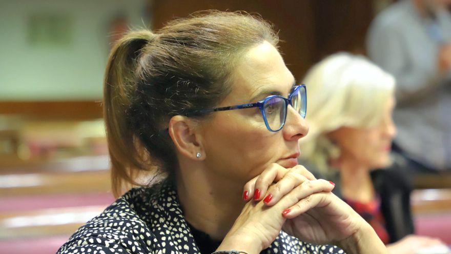 El PSOE registra una iniciativa en el Senado para impedir a los menores acceder a la pornografía