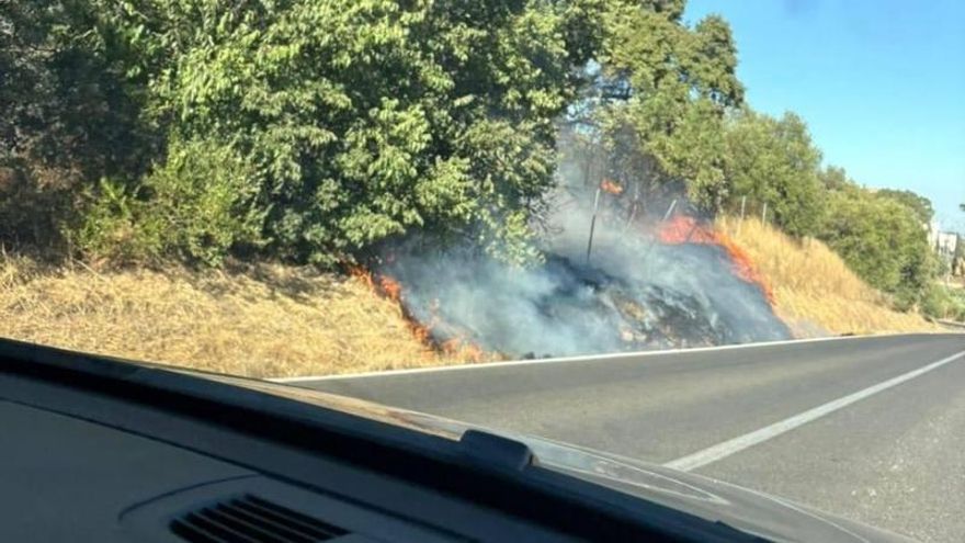 Las claves del gran incendio de Córdoba: mucho pasto seco y una imprudencia junto a la carretera
