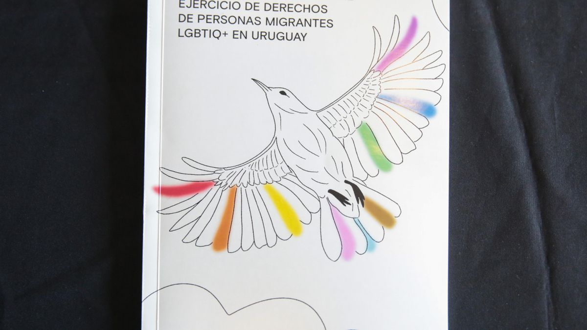Uruguay debe mejorar la respuesta a migrantes LGTBIQ+, según estudio apoyado por OIM