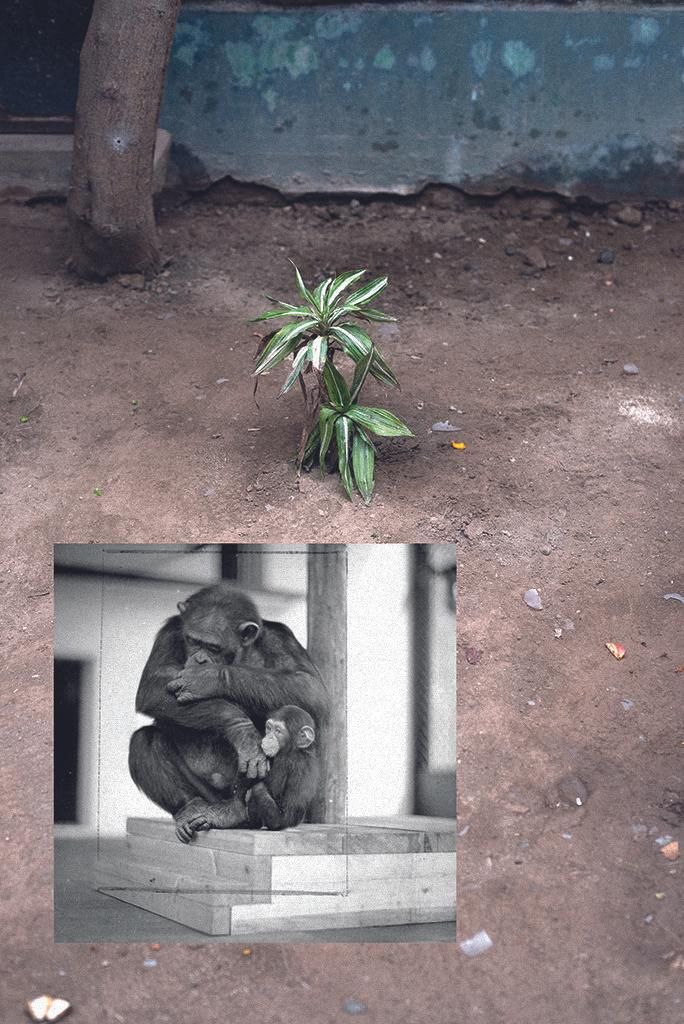 Imagen del proyecto 'El 2%'