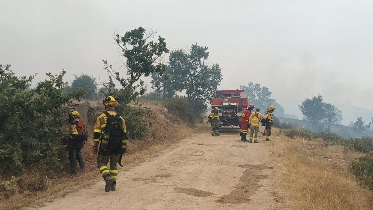 Un país no se sostiene solo: la fuerza de los servicios públicos, la prevención y la justicia fiscal