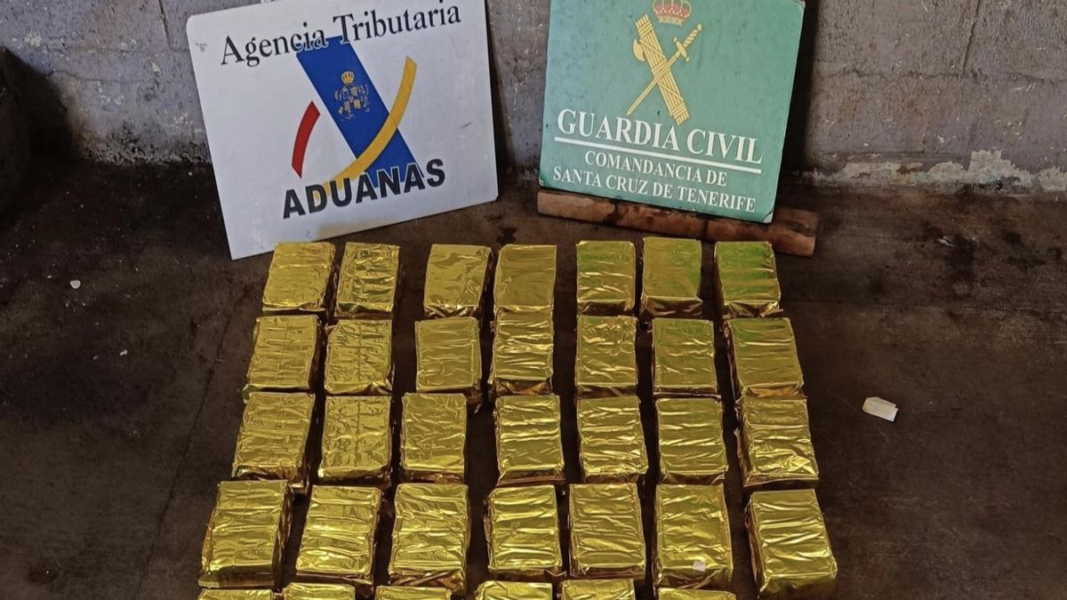Los bloques de hachís incautados al detenido en Tenerife.