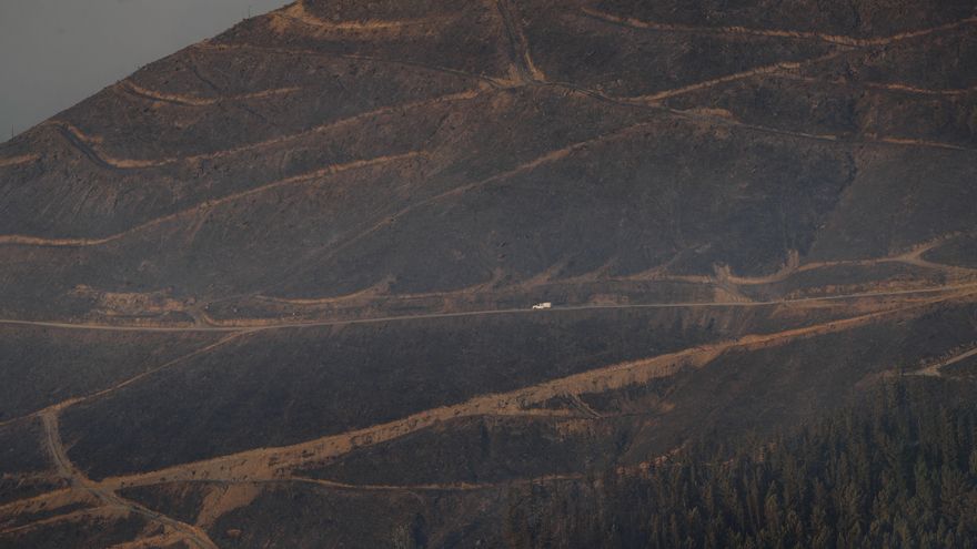 Suben a 50 los detenidos por los incendios forestales y a 135 los investigados