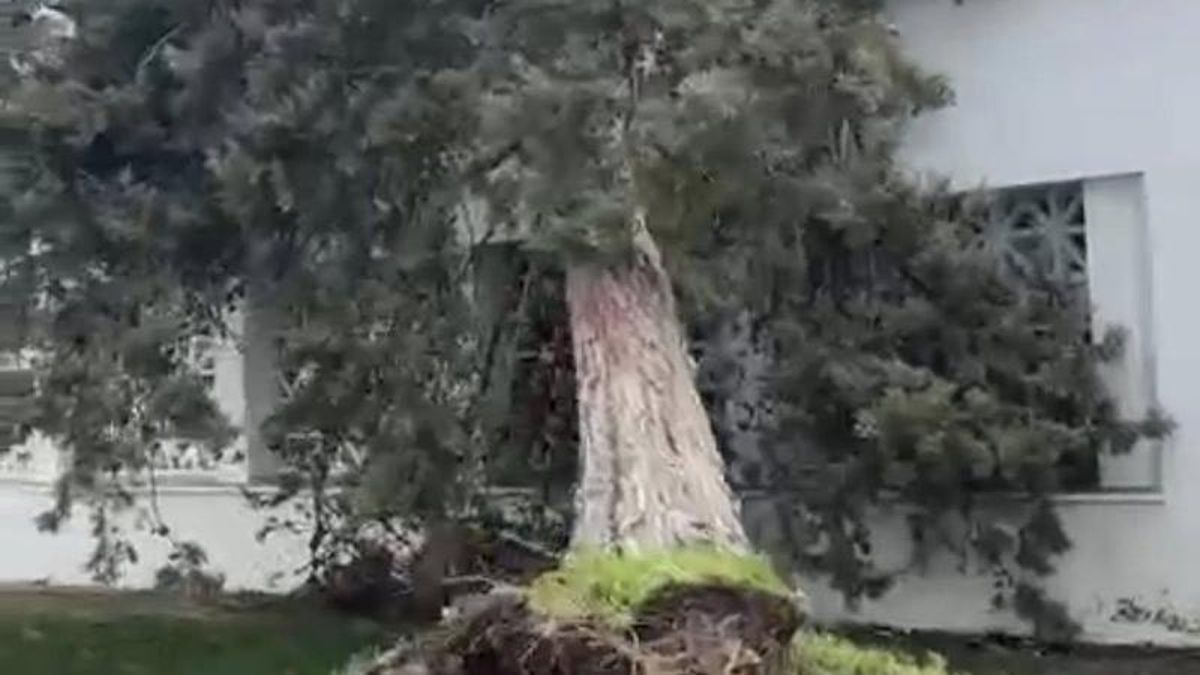 PIDE reclama autonomía para que los colegios extremeños cierren de forma automática ante alertas climáticas