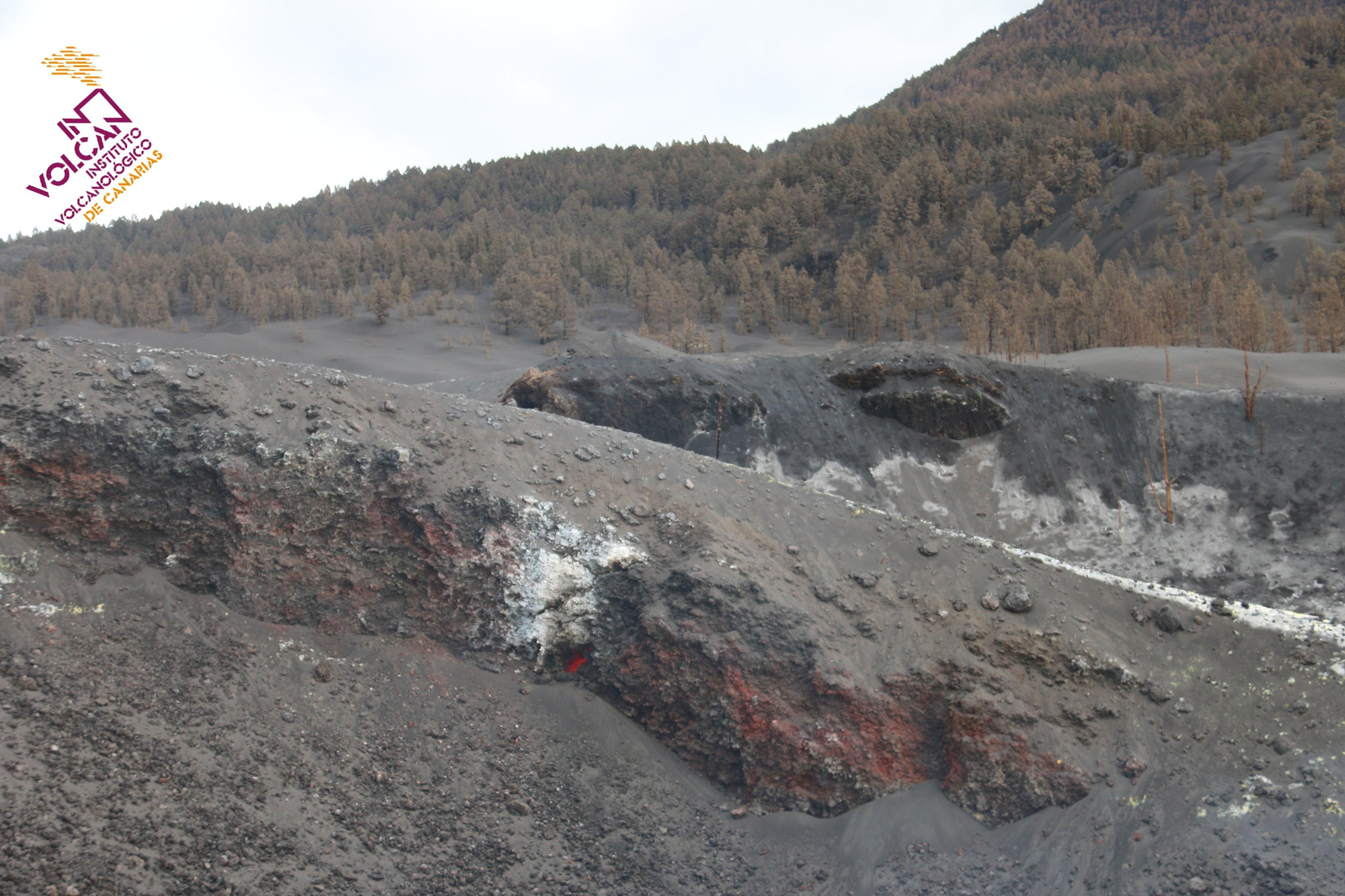 En la imagen, uno de los puntos del entorno del edificio volcánico en el que se registran este lunes temperaturas superiores a los 1000°C