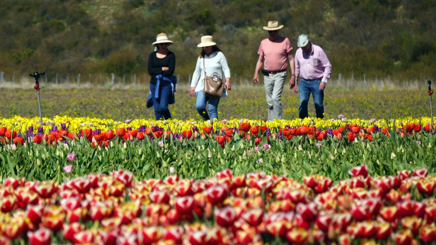 Google Maps sumó 150 pueblos nacionales: "Experiencias Argentinas para Vivir"