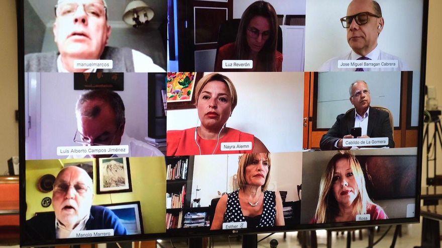Los portavoces de los grupos parlamentarios, durante la comparecencia telemática de la Diputación Permanente