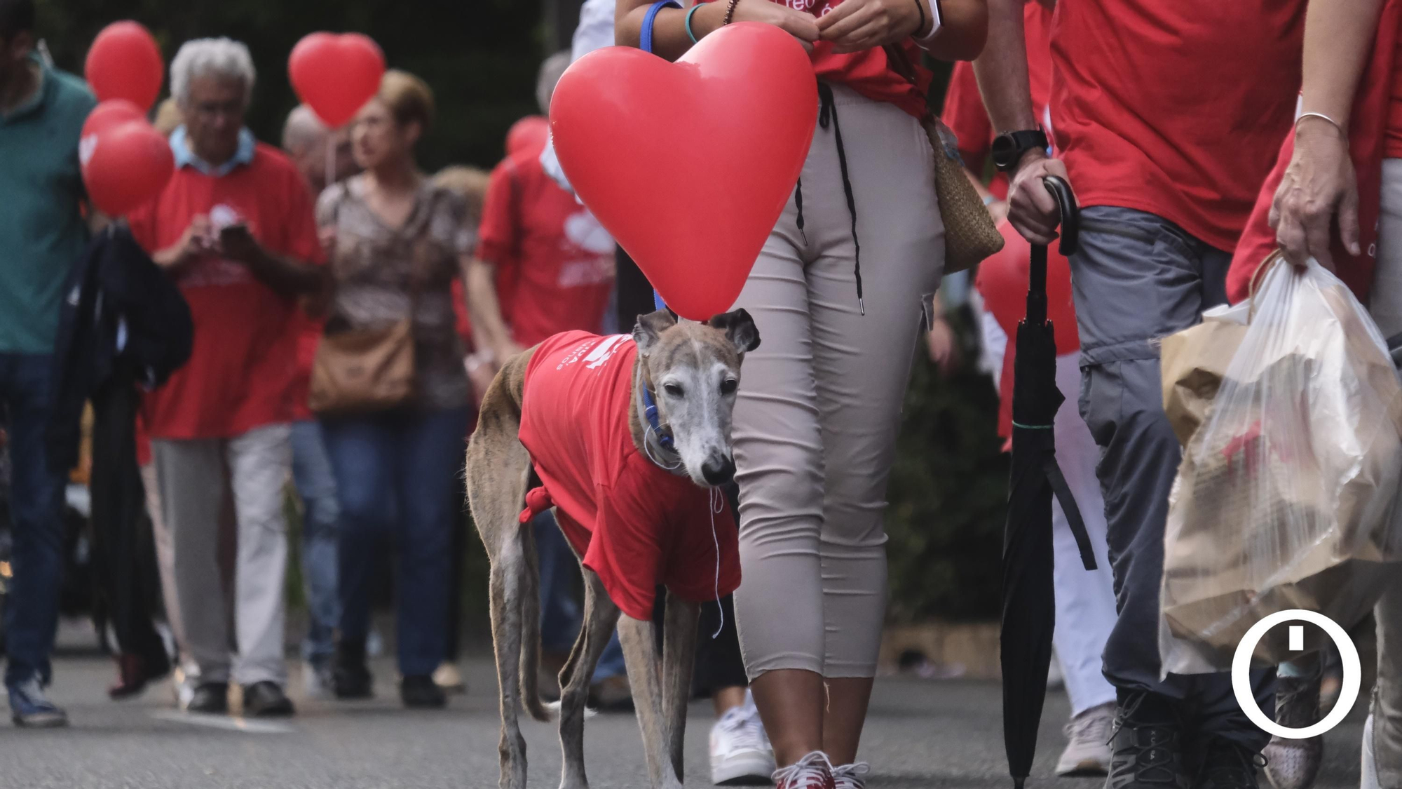 Marcha por la Donación de órganos.