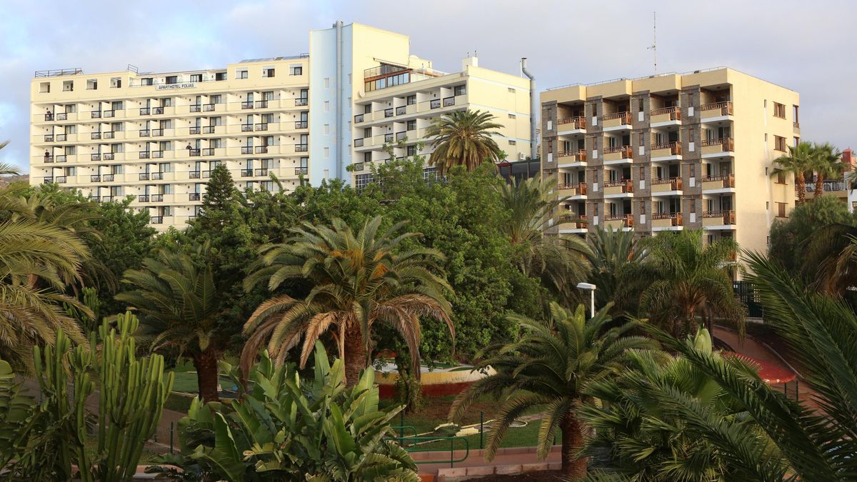 Vegetación en un parque urbano tras el Hotel Folias, en Maspalomas