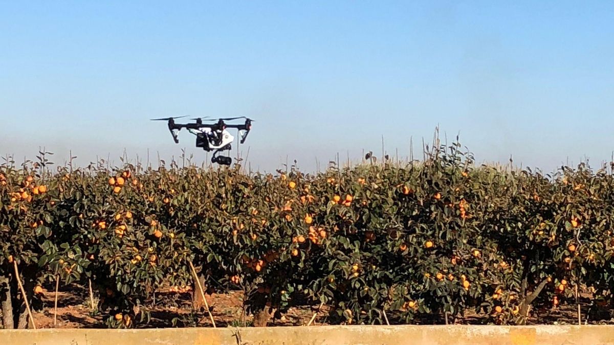 La Comisión Europea abre la puerta al uso de drones en la agricultura en los tratamientos fitosanitarios