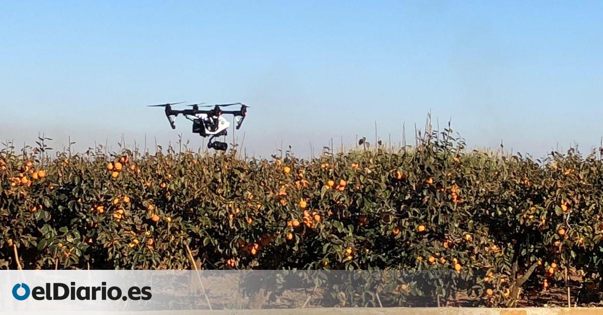 La Comisión Europea abre la puerta al uso de drones en la agricultura en los tratamientos fitosanitarios