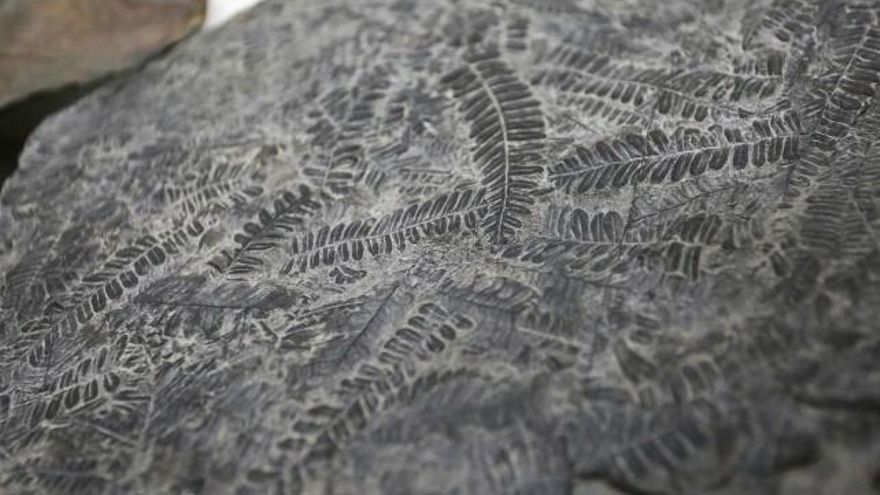 El Aula Geológica de Robles de Laciana celebra del 1 al 5 de julio las séptimas Jornadas de Geología