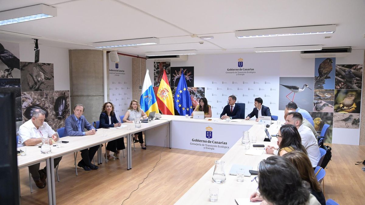 Canarias insta al Gobierno a prorrogar los fondos Next Generation pese a no haberlos consumido