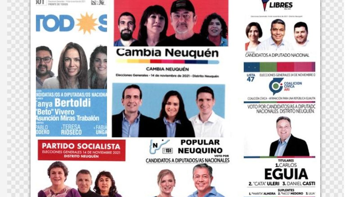 Las boletas en Neuquén para las elecciones del 14 de noviembre