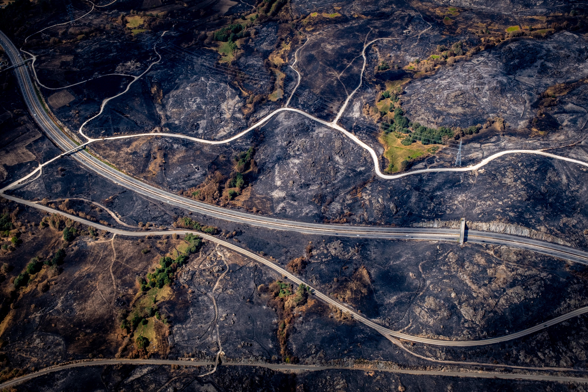 30 agosto 2025. A Gudiña. Ourense. Greenpeace/ Pedro Armestre