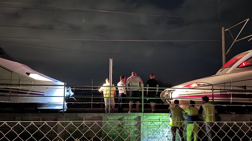 El Defensor del Pueblo pide información a Transportes sobre la incidencia en el AVE Madrid-Sevilla del 30 de junio