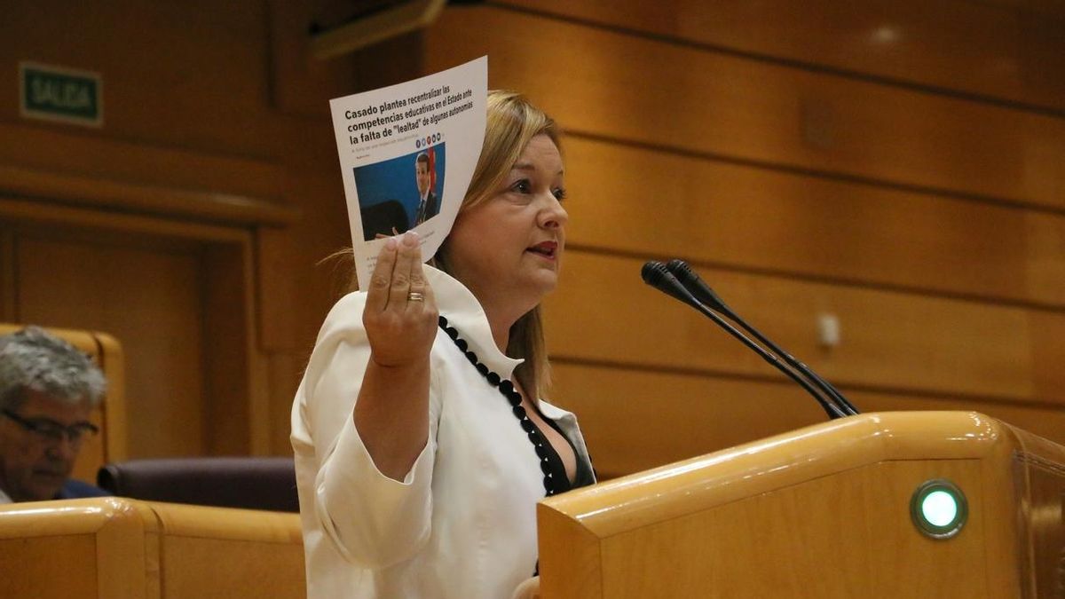 Senado insta al Gobierno a defender la elección del castellano en educación en las CCAA donde hay dos lenguas oficiales