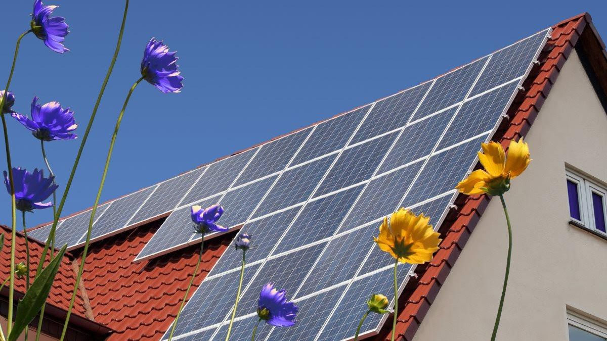 Competencia calcula que las ayudas al autoconsumo han podido cubrir “más del 90% del coste” para algunos hogares