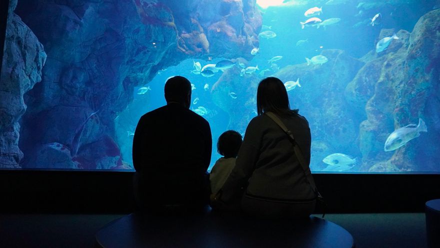 El Bioparc Acuario de Gijón lanza la campaña #UnMillónDeHistorias para celebrar su visitante número 1 millón