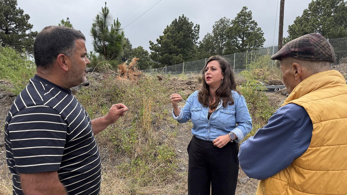 Visita de Drago Canarias al paraje natural de El Riachuelo.