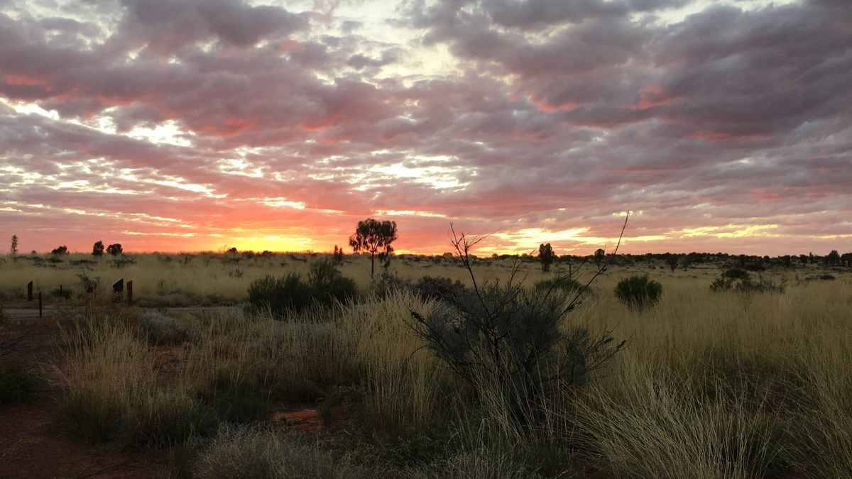 Paisatge indiferenciat de l'Austràlia central.